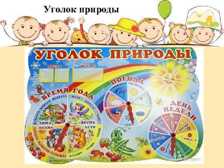 Уголок природы 