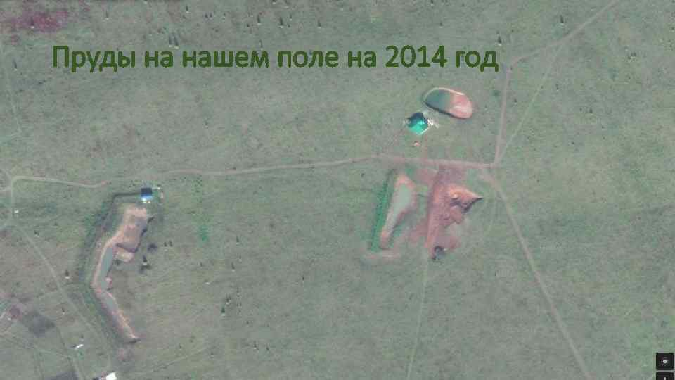 Пруды на нашем поле на 2014 год 