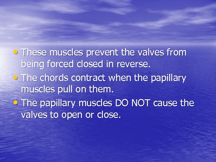 • These muscles prevent the valves from being forced closed in reverse. •
