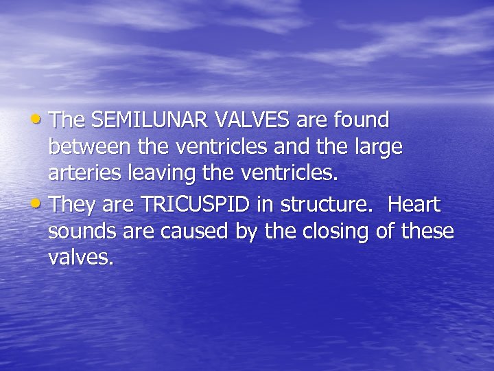  • The SEMILUNAR VALVES are found between the ventricles and the large arteries