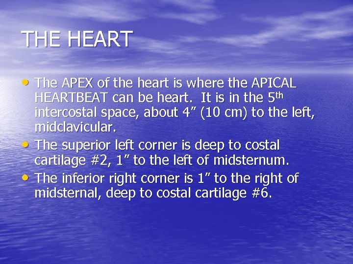 THE HEART • The APEX of the heart is where the APICAL • •