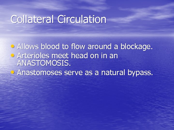 Collateral Circulation • Allows blood to flow around a blockage. • Arterioles meet head