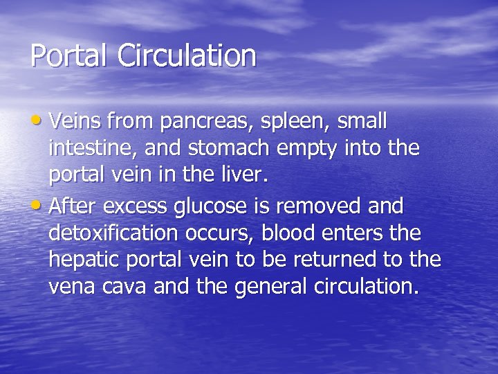 Portal Circulation • Veins from pancreas, spleen, small intestine, and stomach empty into the