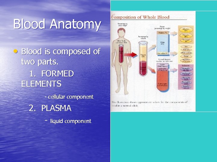 Blood Anatomy • Blood is composed of two parts. 1. FORMED ELEMENTS - cellular