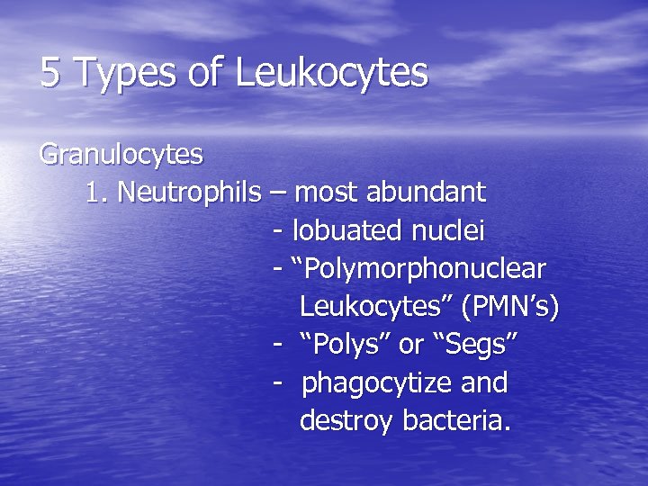 5 Types of Leukocytes Granulocytes 1. Neutrophils – most abundant - lobuated nuclei -