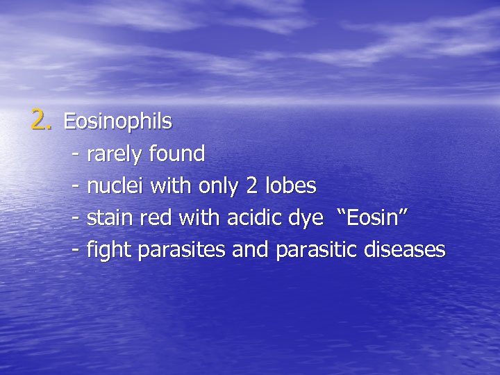 2. Eosinophils - rarely found - nuclei with only 2 lobes - stain red