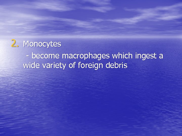 2. Monocytes - become macrophages which ingest a wide variety of foreign debris 