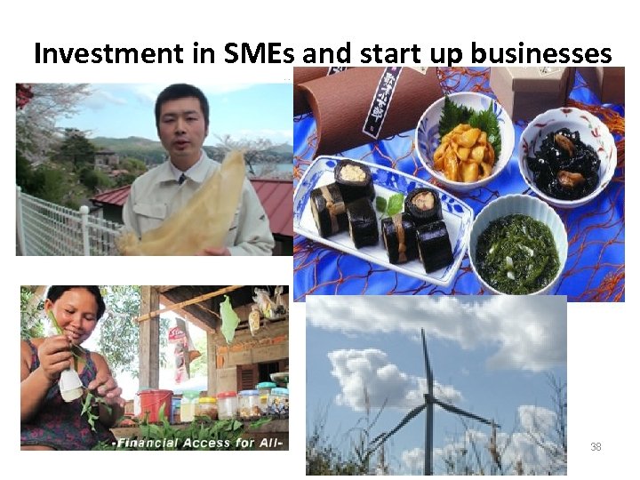 Investment in SMEs and start up businesses 38 38 