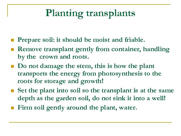 Planting transplants n n n Prepare soil: it should be moist and friable. Remove