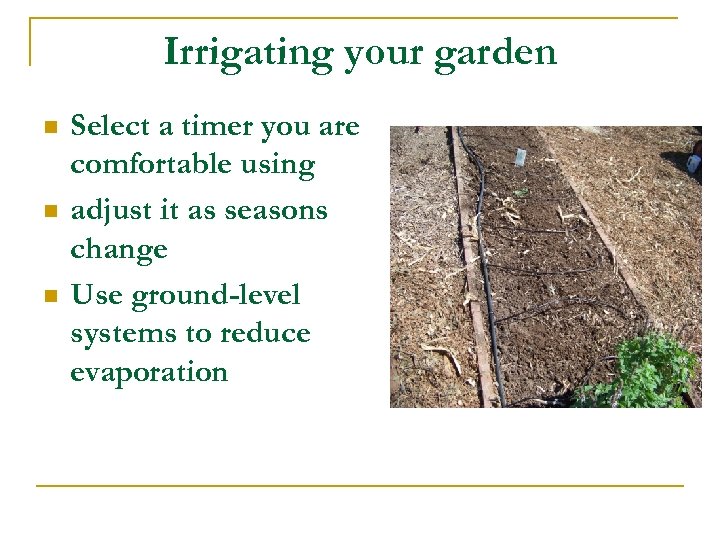 Irrigating your garden n Select a timer you are comfortable using adjust it as
