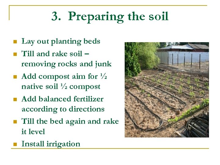 3. Preparing the soil n n n Lay out planting beds Till and rake