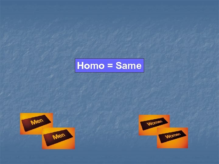 Homo = Same 