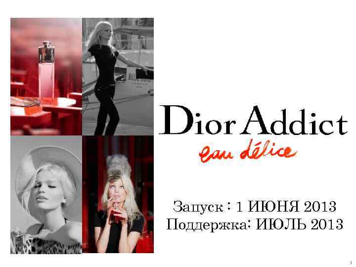 Запуск : 1 ИЮНЯ 2013 Поддержка: ИЮЛЬ 2013 1 