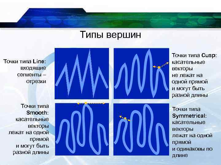Типы вершин Точки типа Line: входящие сегменты – отрезки Точки типа Smooth: касательные векторы