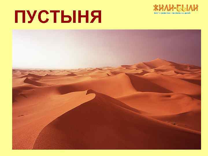 ПУСТЫНЯ 