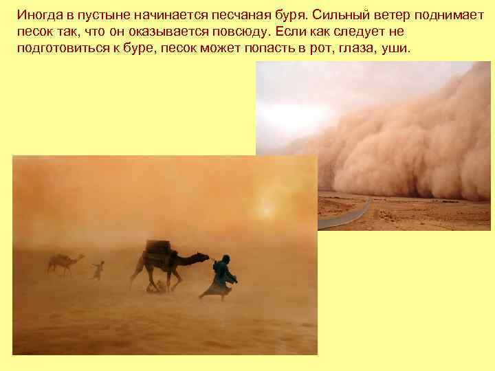 Иногда в пустыне начинается песчаная буря. Сильный ветер поднимает песок так, что он оказывается