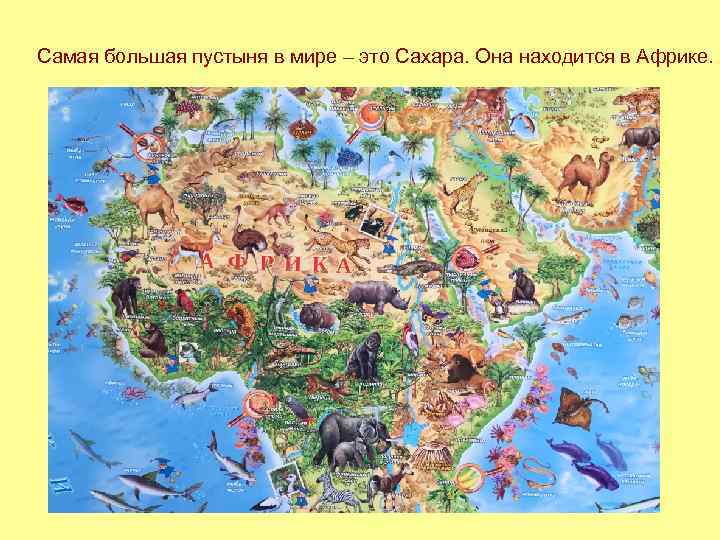 Самая большая пустыня в мире – это Сахара. Она находится в Африке. 