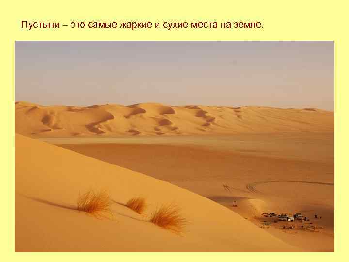 Пустыни – это самые жаркие и сухие места на земле. 