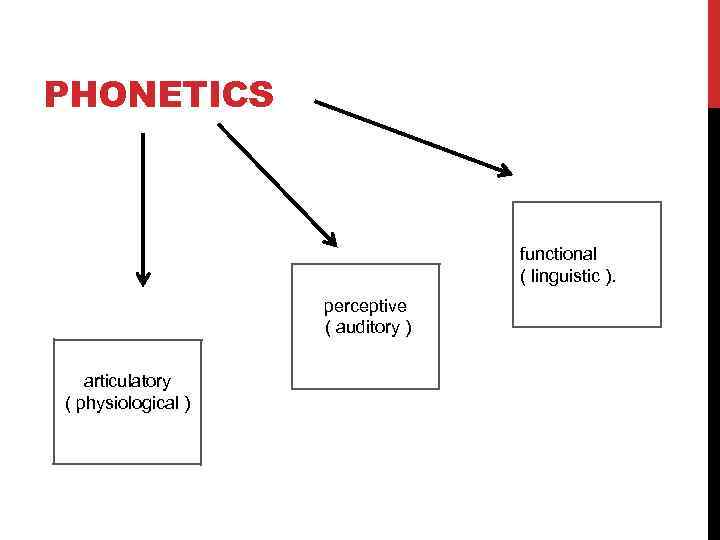 PHONETICS functional ( linguistic ). perceptive ( auditory ) physiological ) articulatory ( physiological