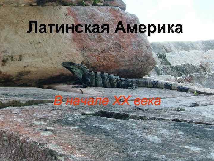 Латинская Америка В начале XX века 
