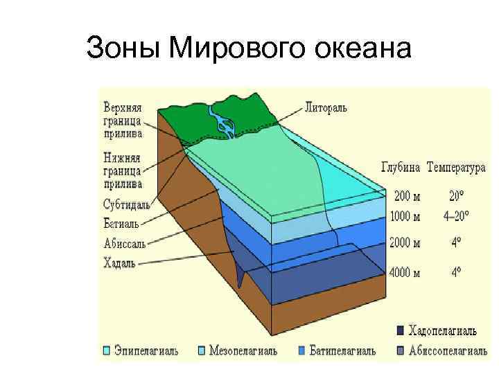 Зоны Мирового океана 