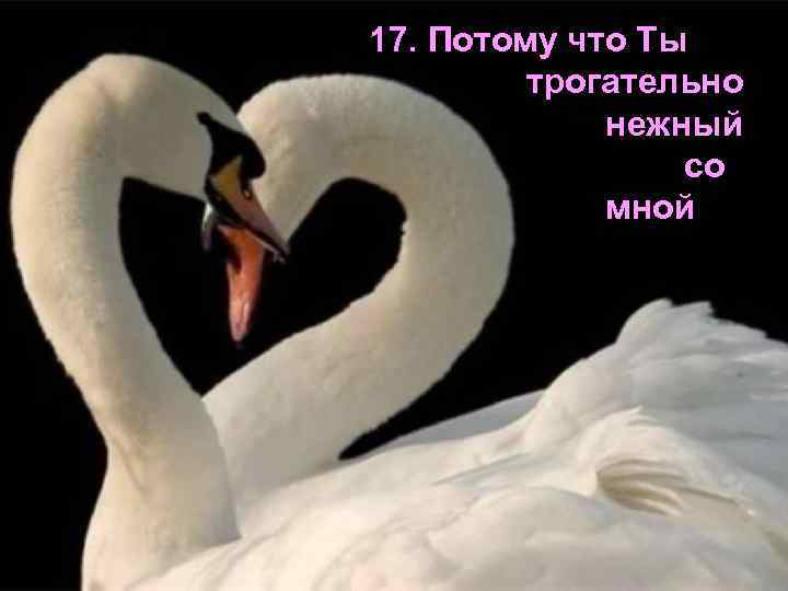 17. Потому что Ты трогательно нежный со мной 