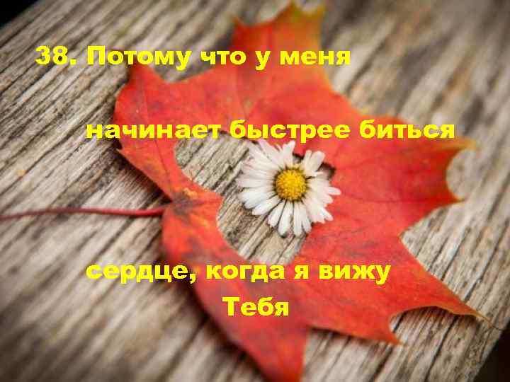 38. Потому что у меня начинает быстрее биться сердце, когда я вижу Тебя 