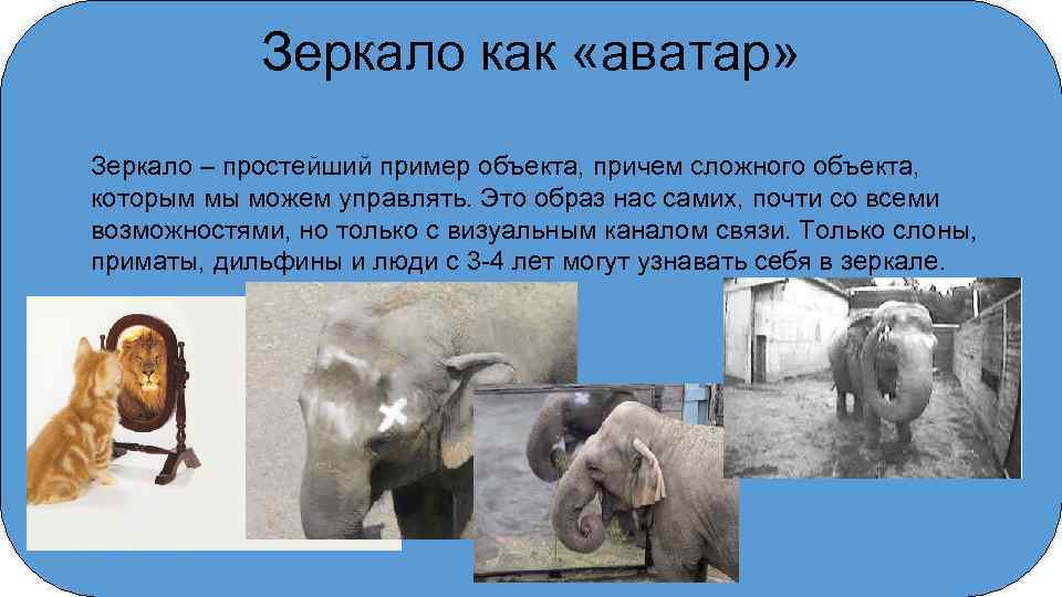 Зеркало как «аватар» Зеркало – простейший пример объекта, причем сложного объекта, которым мы можем
