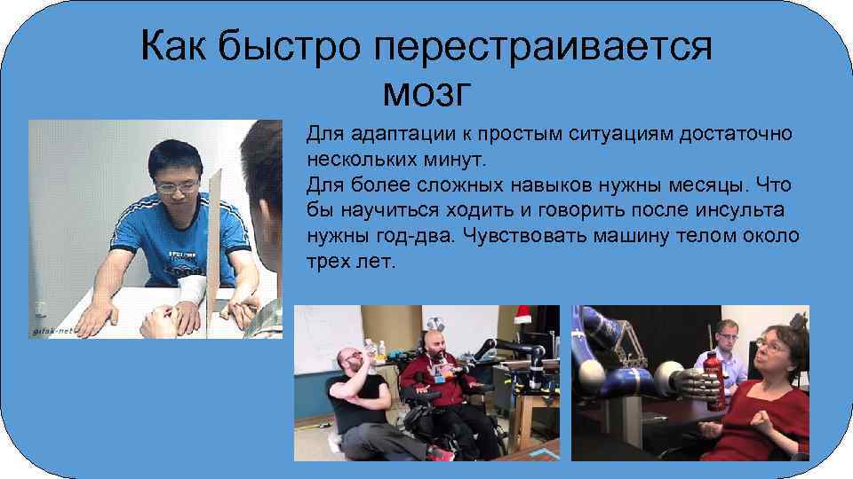Как быстро перестраивается мозг Для адаптации к простым ситуациям достаточно нескольких минут. Для более