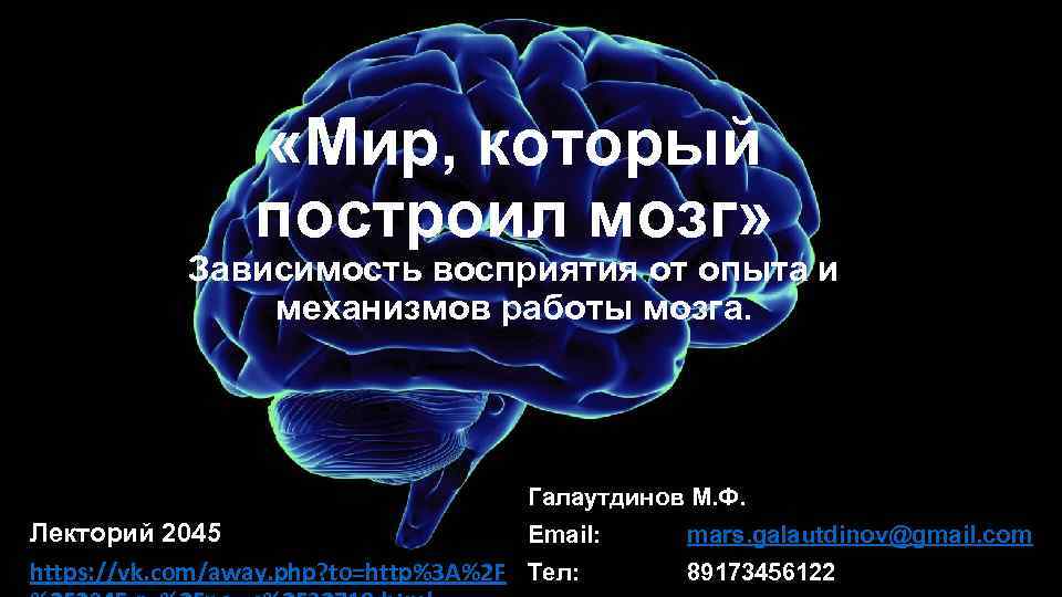  «Мир, который построил мозг» Зависимость восприятия от опыта и механизмов работы мозга. Галаутдинов