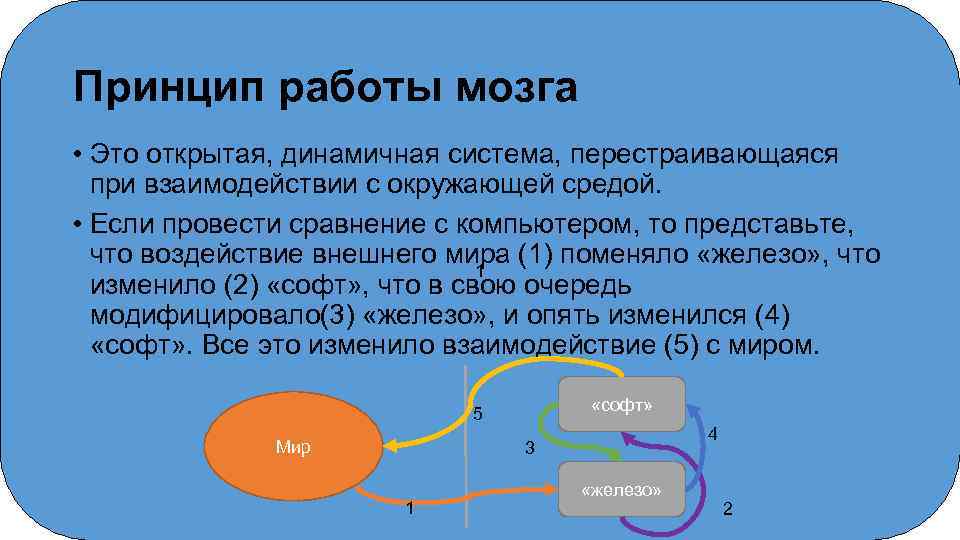 Как изменялось взаимодействие. Принципы работы мозга. Основные принципы работы мозга. Фундаментальный принцип работы мозга. Основные принципы работы головного мозга кратко.