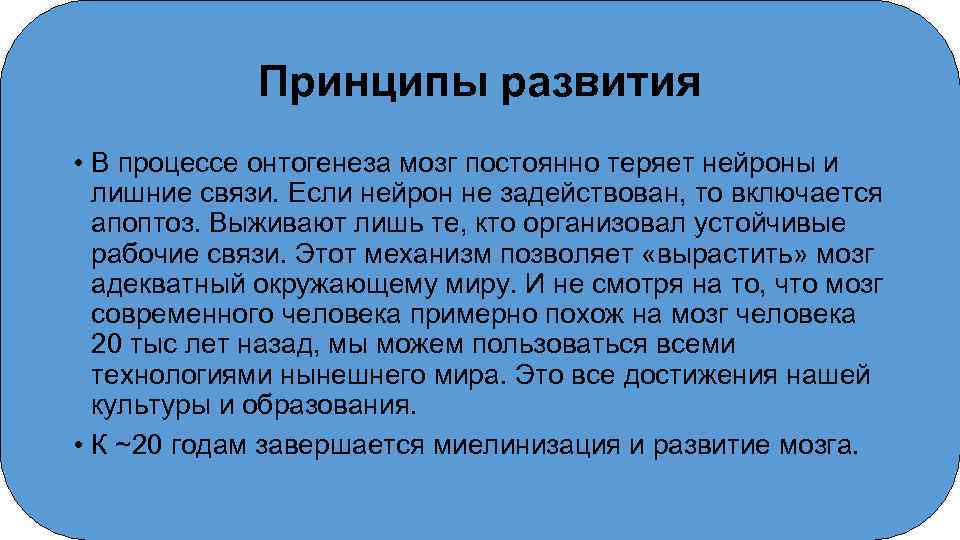 Принципы развития • В процессе онтогенеза мозг постоянно теряет нейроны и лишние связи. Если