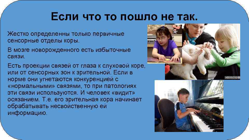 Если что то пошло не так. Жестко определенны только первичные сенсорные отделы коры. В