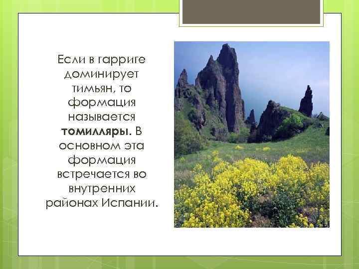 Если в гарриге доминирует тимьян, то формация называется томилляры. В основном эта формация встречается