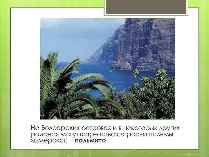 На Болеарских островах и в некоторых других районах могут встречаться заросли пальмы хамерокса –