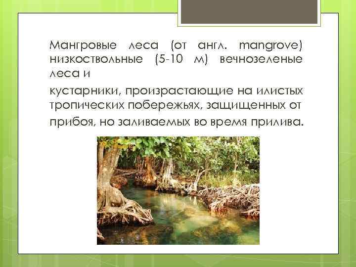 Мангровые леса (от англ. mangrove) низкоствольные (5 -10 м) вечнозеленые леса и кустарники, произрастающие