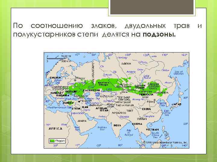 По соотношению злаков, двудольных трав полукустарников степи делятся на подзоны. и 