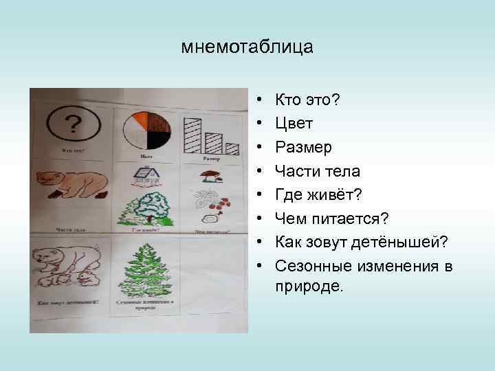 Схема составления рассказа о животном для дошкольников