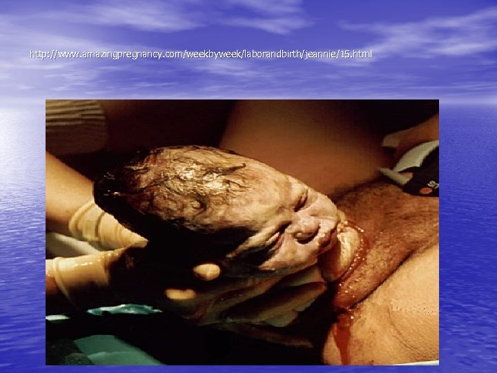 http: //www. amazingpregnancy. com/weekbyweek/laborandbirth/jeannie/15. html 