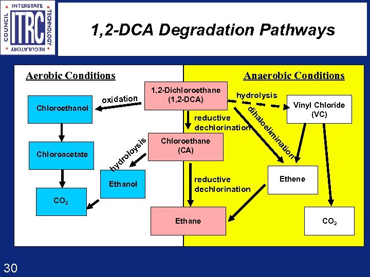1, 2 -DCA Degradation Pathways Aerobic Conditions 1, 2 -Dichloroethane (1, 2 -DCA) oxidation