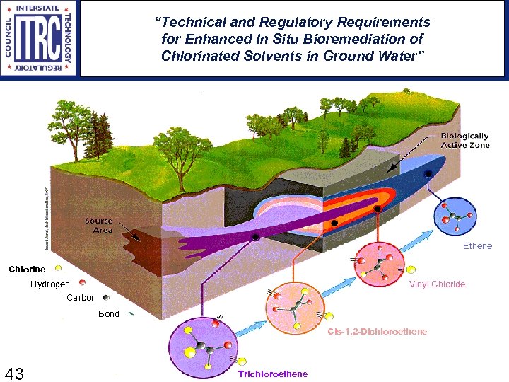 “Technical and Regulatory Requirements for Enhanced In Situ Bioremediation of Chlorinated Solvents in Ground