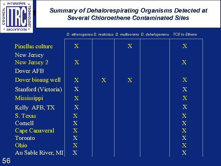 t Summary of Dehalorespirating Organisms Detected at Several Chloroethene Contaminated Sites D. ethenogenes D.