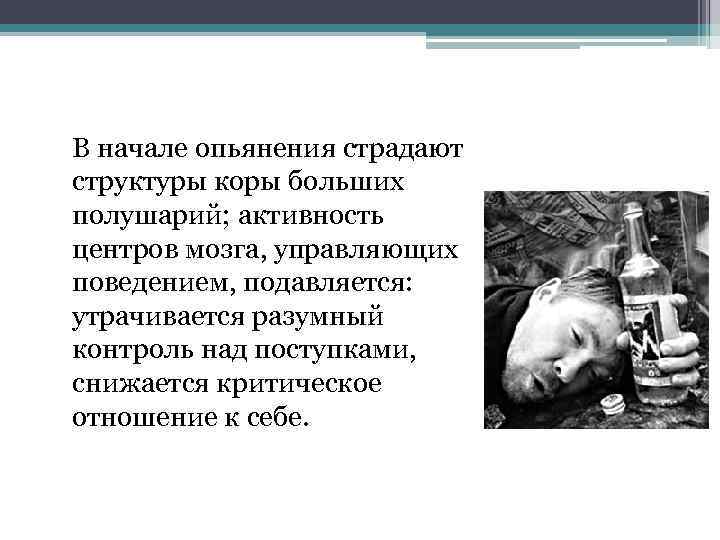 В начале опьянения страдают структуры коры больших полушарий; активность центров мозга, управляющих поведением, подавляется: