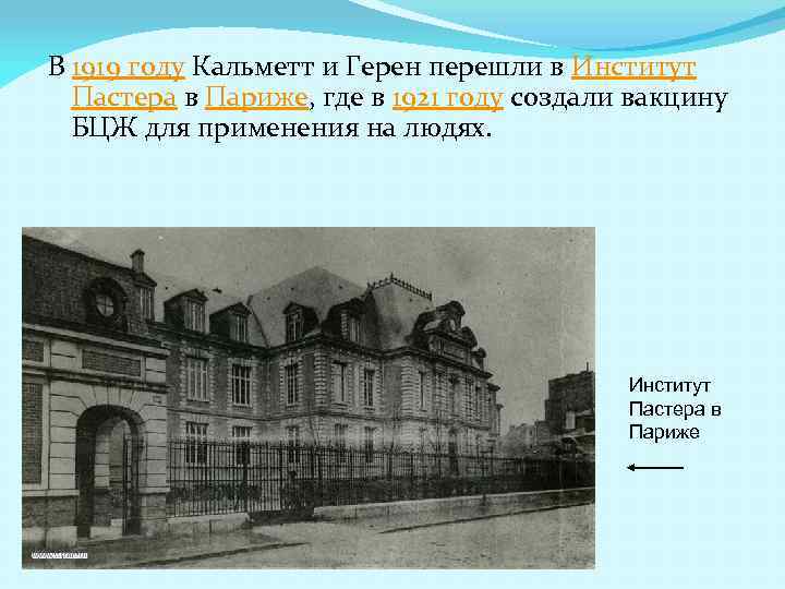 В 1919 году Кальметт и Герен перешли в Институт Пастера в Париже, где в