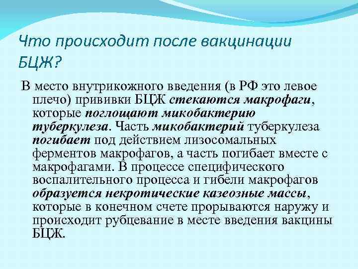 Что происходит после вакцинации БЦЖ? В место внутрикожного введения (в РФ это левое плечо)