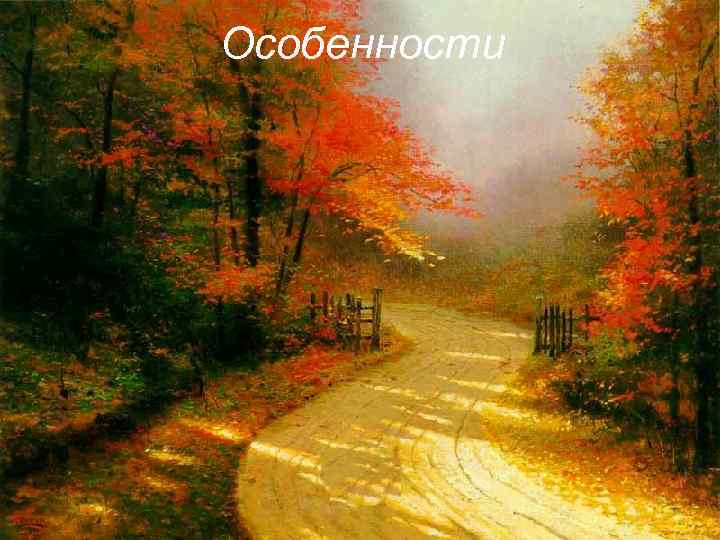 Особенности 
