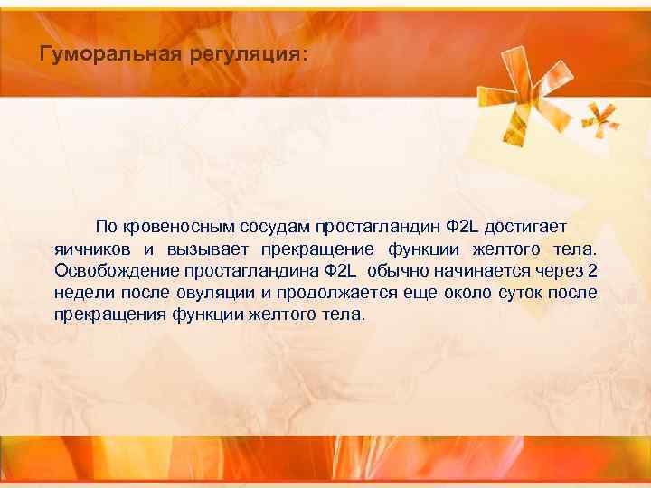 Гуморальная регуляция: По кровеносным сосудам простагландин Ф 2 L достигает яичников и вызывает прекращение