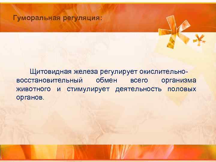 Гуморальная регуляция: Щитовидная железа регулирует окислительновосстановительный обмен всего организма животного и стимулирует деятельность половых
