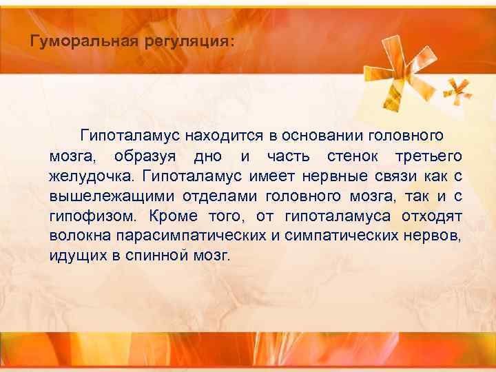 Гуморальная регуляция: Гипоталамус находится в основании головного мозга, образуя дно и часть стенок третьего