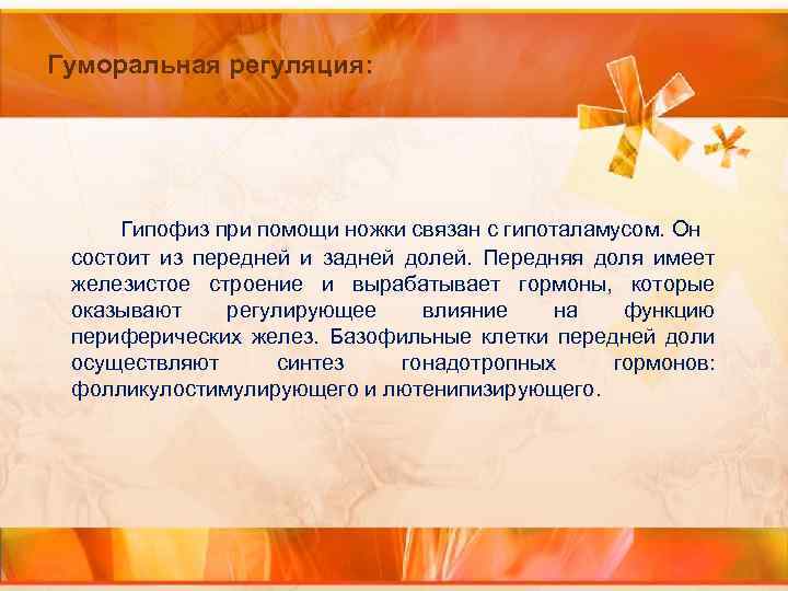 Гуморальная регуляция: Гипофиз при помощи ножки связан с гипоталамусом. Он состоит из передней и